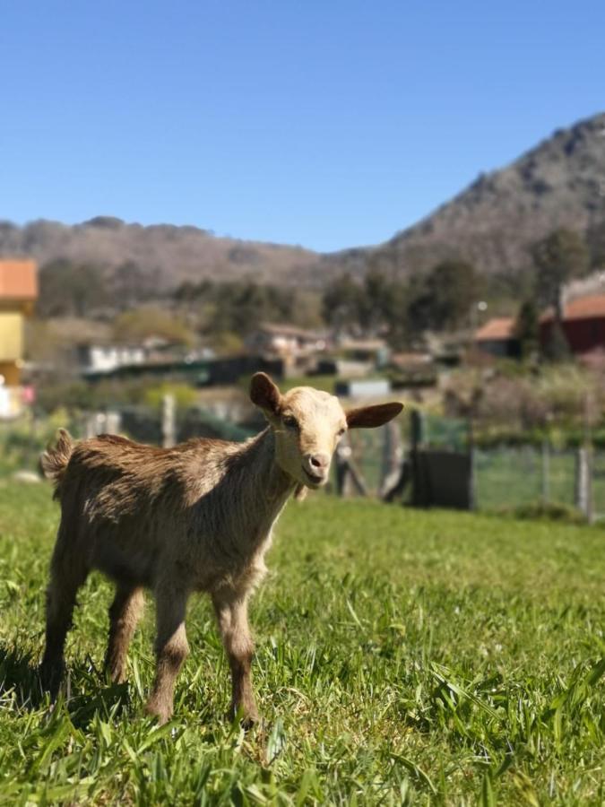 Hogar Gallan Gondomar Zewnętrze zdjęcie